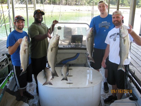 Nice Striped Bass